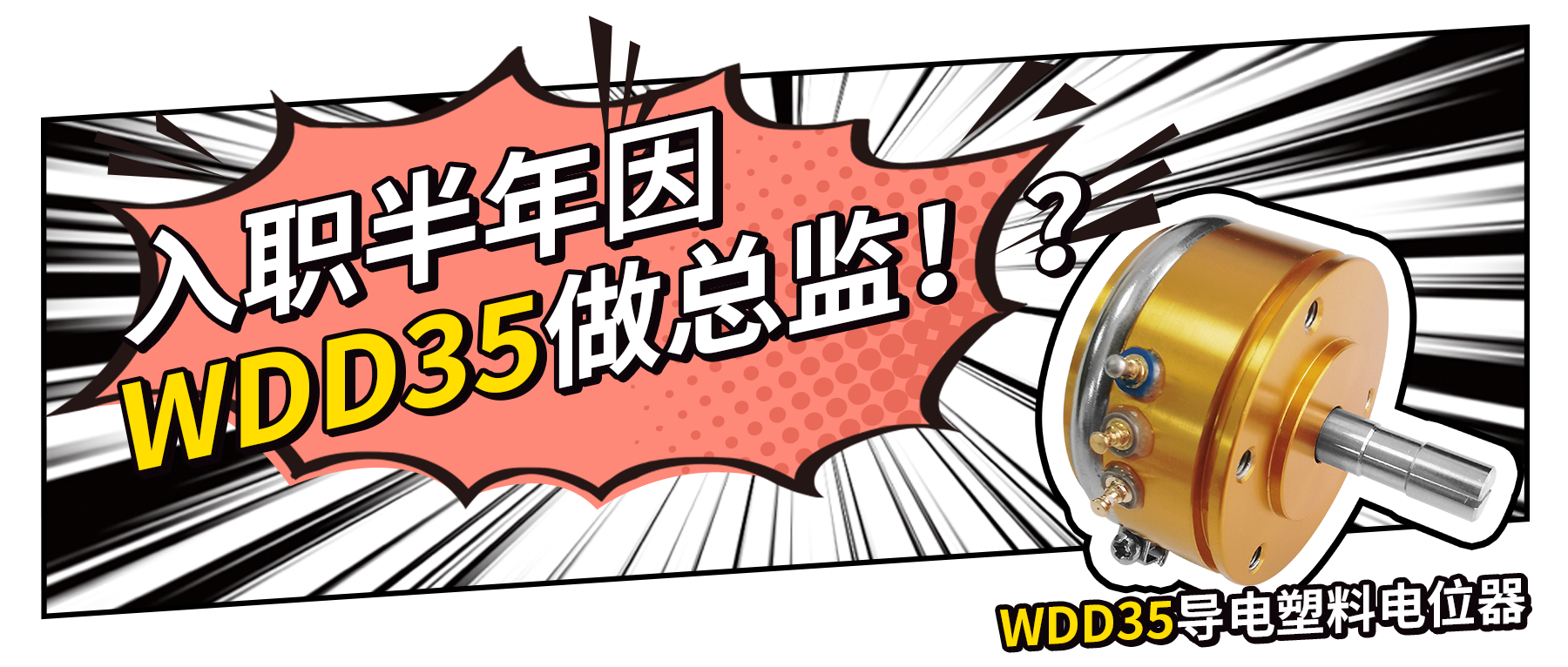 入職半年因WDD35做總監(jiān)？！